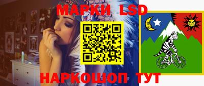 тгк Можга