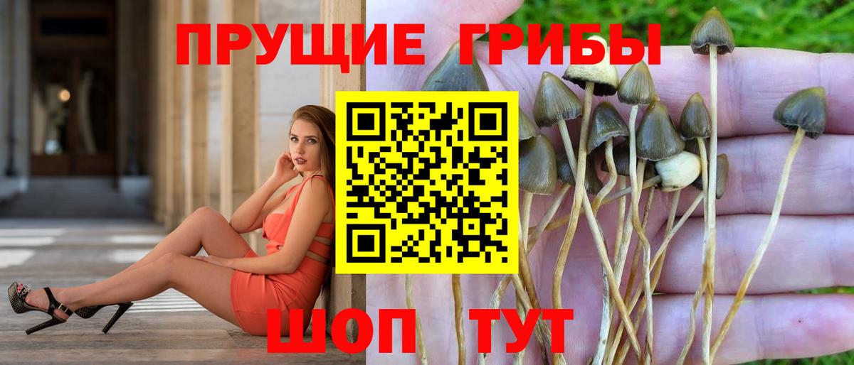Псилоцибиновые грибы ЛСД  Вход с VPN  купить   Уссурийск 