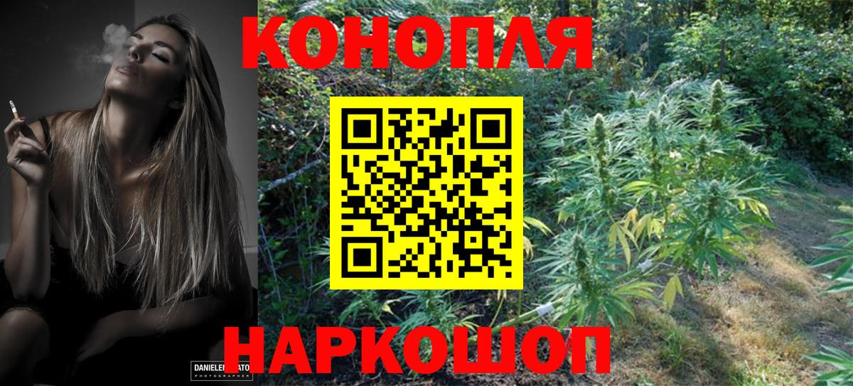 Каннабис индика Уссурийск